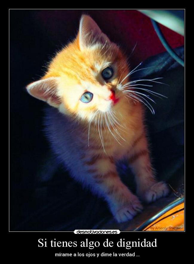 Si tienes algo de dignidad -