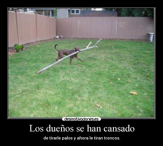Los dueños se han cansado - de tirarle palos y ahora le tiran troncos.