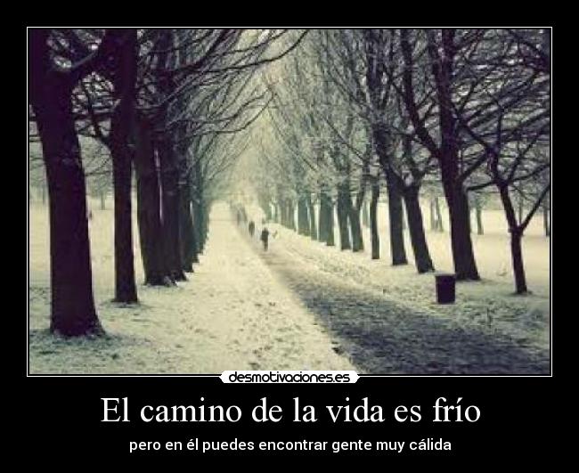 El camino de la vida es frío - pero en él puedes encontrar gente muy cálida