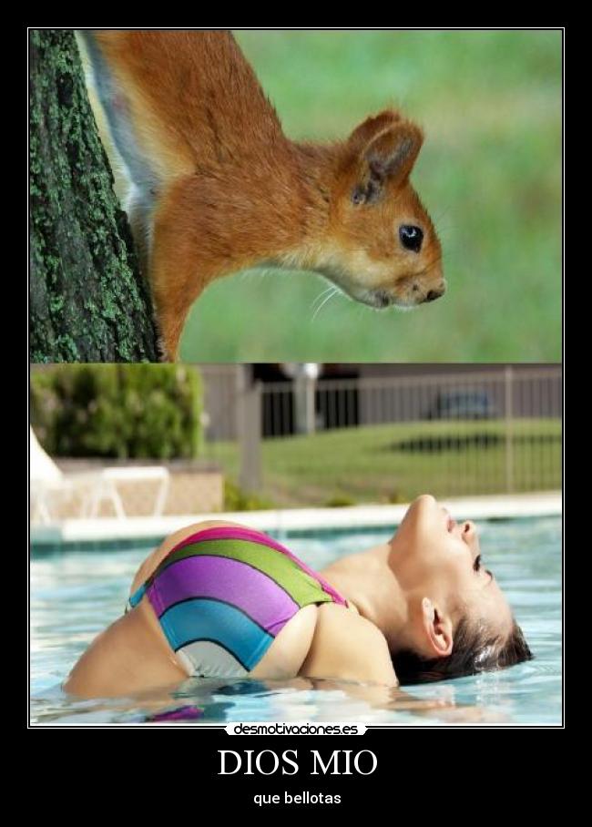 DIOS MIO - que bellotas
