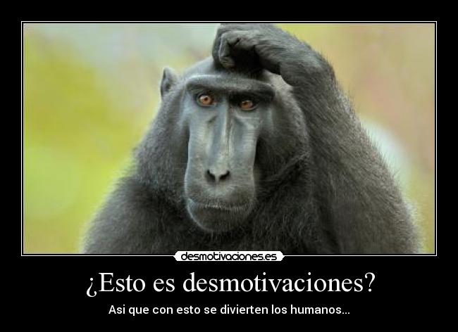 ¿Esto es desmotivaciones? - Asi que con esto se divierten los humanos...