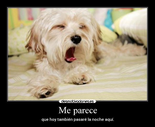 Me parece - que hoy también pasaré la noche aquí.