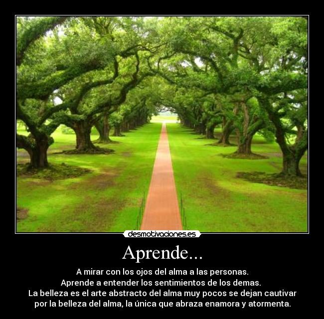 Aprende... - 