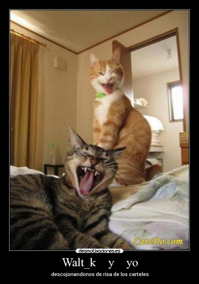 Walt_k y yo - descojonandonos de risa de los carteles