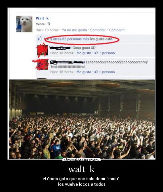 walt_k - el único gato que con solo decir miau
los vuelve locos a todos