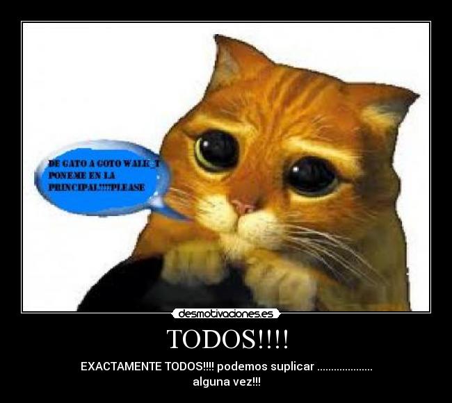 TODOS!!!! - EXACTAMENTE TODOS!!!! podemos suplicar ....................
alguna vez!!!