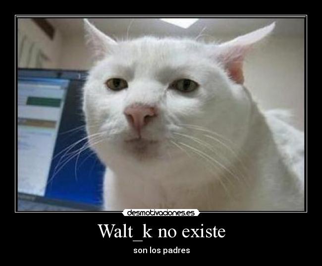 Walt_k no existe - 