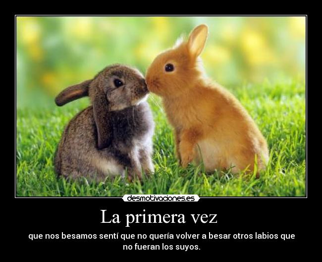 carteles primera vez que nos besamos senti que queria volver besar otros labios que fueran los desmotivaciones