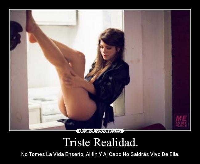Triste Realidad. - No Tomes La Vida Enserio, Al fin Y Al Cabo No Saldrás Vivo De Ella.