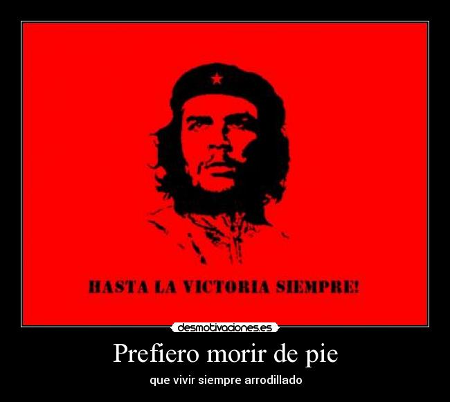 carteles ernesto che guevara desmotivaciones