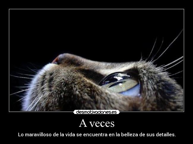 A veces - 
