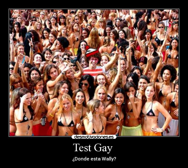 Test Gay - ¿Donde esta Wally?