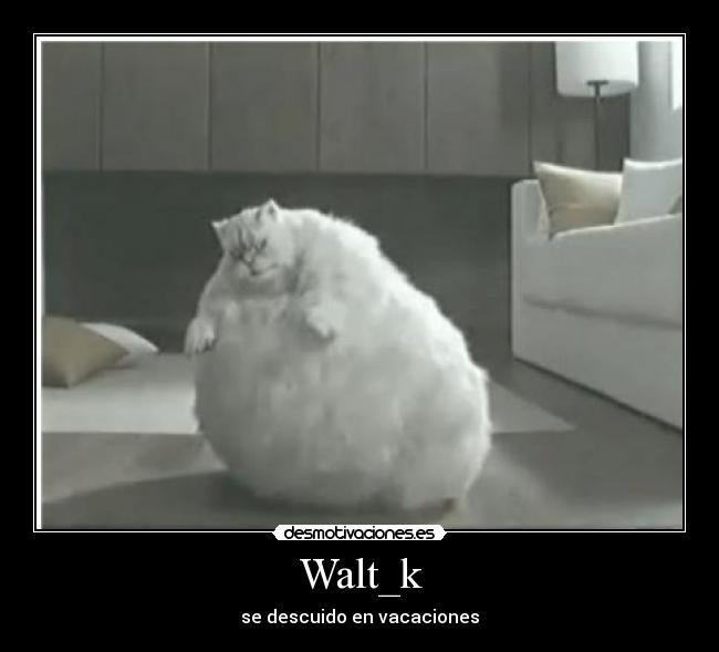Walt_k - se descuido en vacaciones