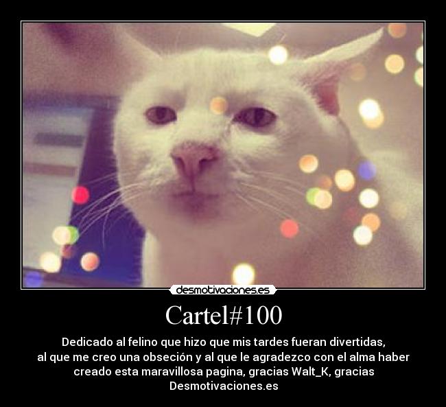 Cartel#100 -