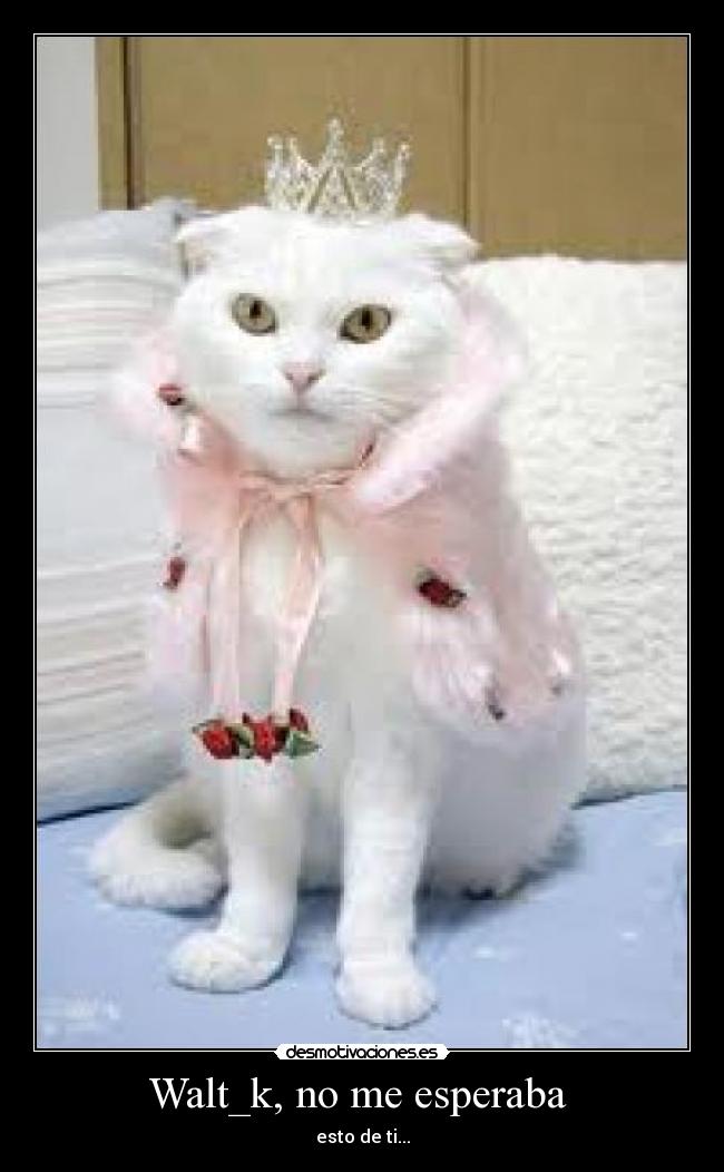 Walt_k, no me esperaba -