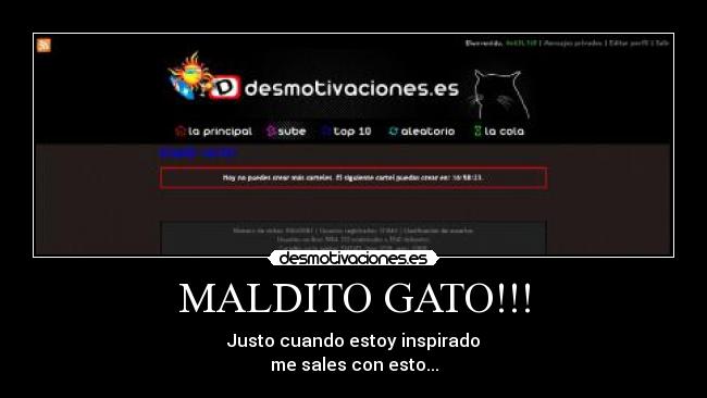 MALDITO GATO!!! - Justo cuando estoy inspirado
me sales con esto...