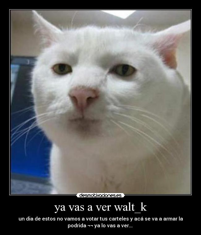 ya vas a ver walt_k - 