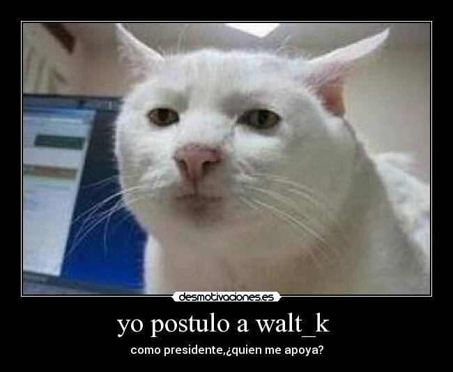 carteles walt_k desmotivaciones desmotivaciones