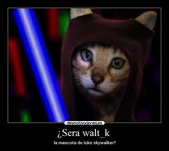 ¿Sera walt_k -