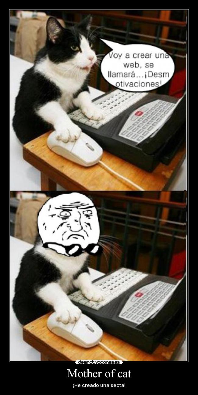 Mother of cat - ¡He creado una secta!
