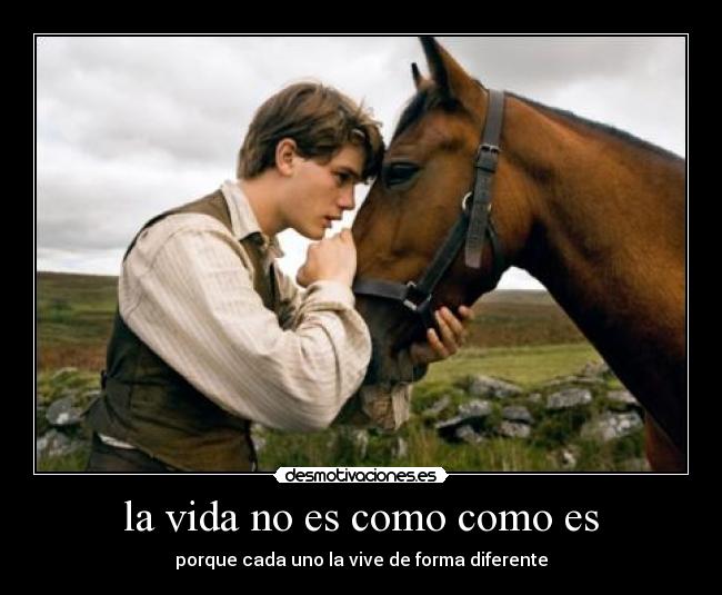 carteles vida vida desmotivaciones