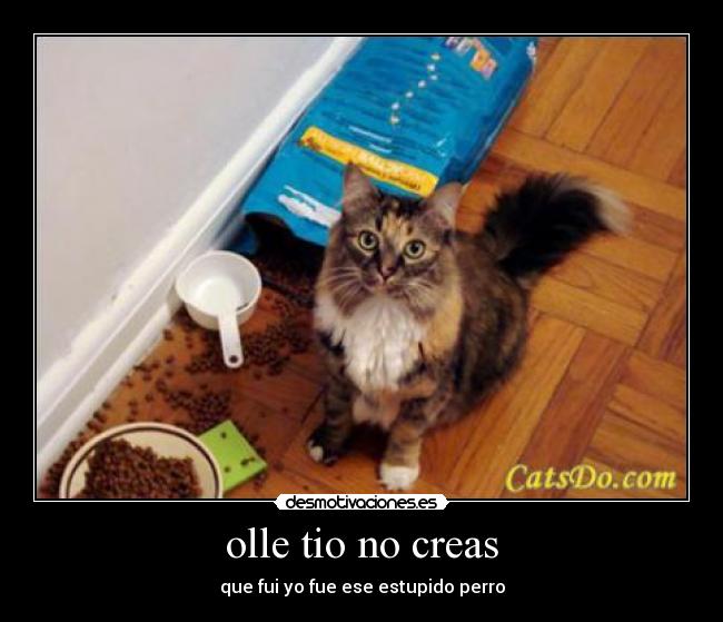 olle tio no creas - que fui yo fue ese estupido perro
