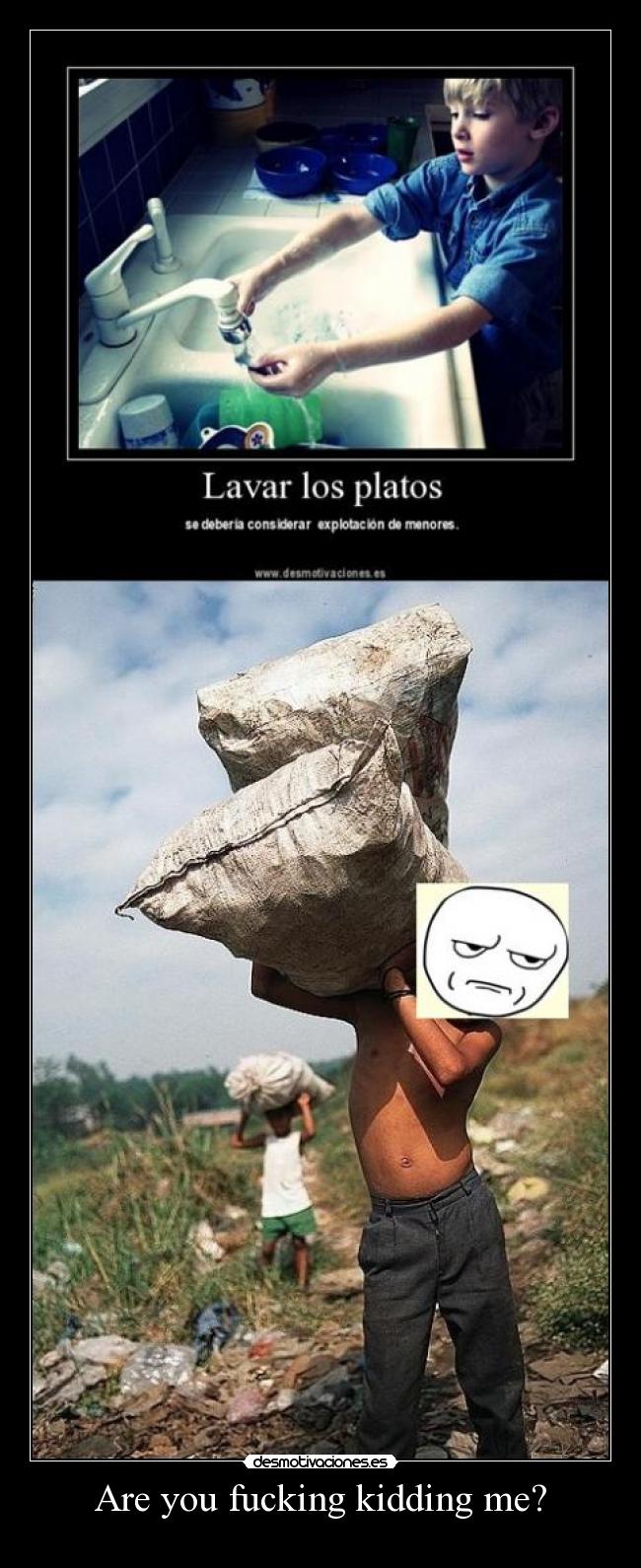 Are you fucking kidding me? -