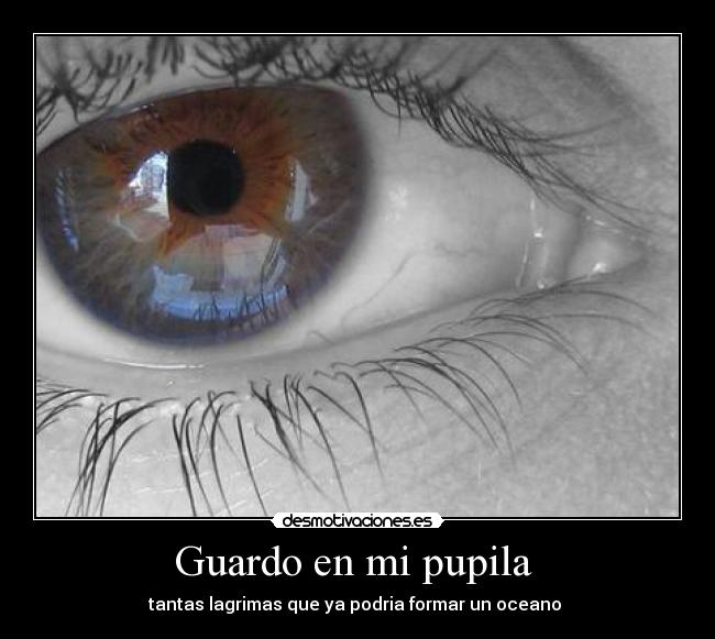 Guardo en mi pupila -