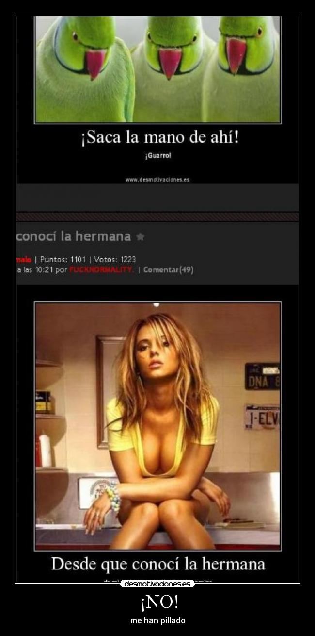 carteles pajaros molestos fap fap desmotivaciones