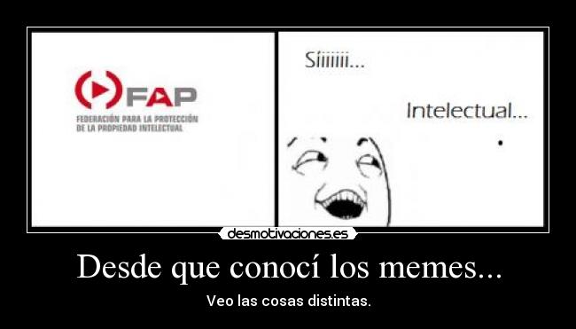 Desde que conocí los memes... - 