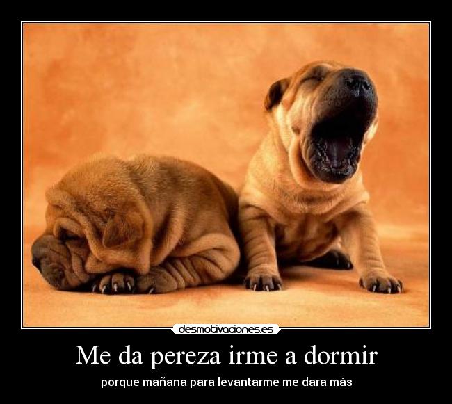 Me da pereza irme a dormir - porque mañana para levantarme me dara más