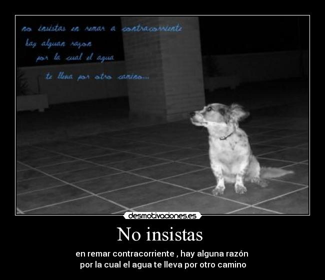 No insistas - en remar contracorriente , hay alguna razón
por la cual el agua te lleva por otro camino