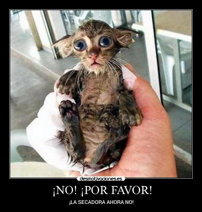 ¡NO! ¡POR FAVOR! - 