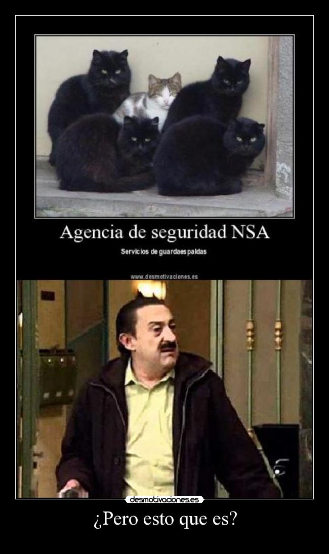 ¿Pero esto que es? -