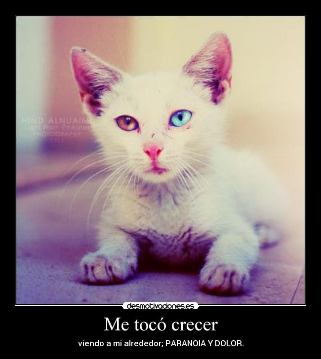 Me tocó crecer - viendo a mi alrededor; PARANOIA Y DOLOR.