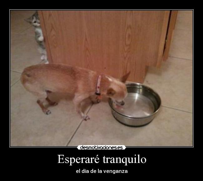 Esperaré tranquilo - el día de la venganza