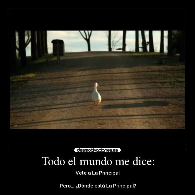 Todo el mundo me dice: - Vete a La Principal
Pero... ¿Dónde está La Principal?