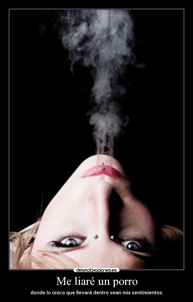 carteles porro desmotivaciones