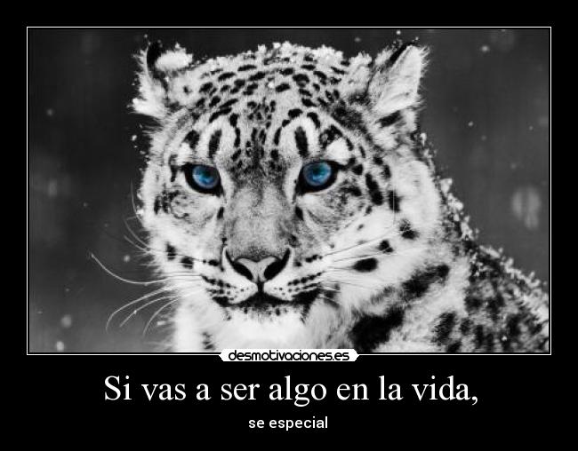 Si vas a ser algo en la vida, - 