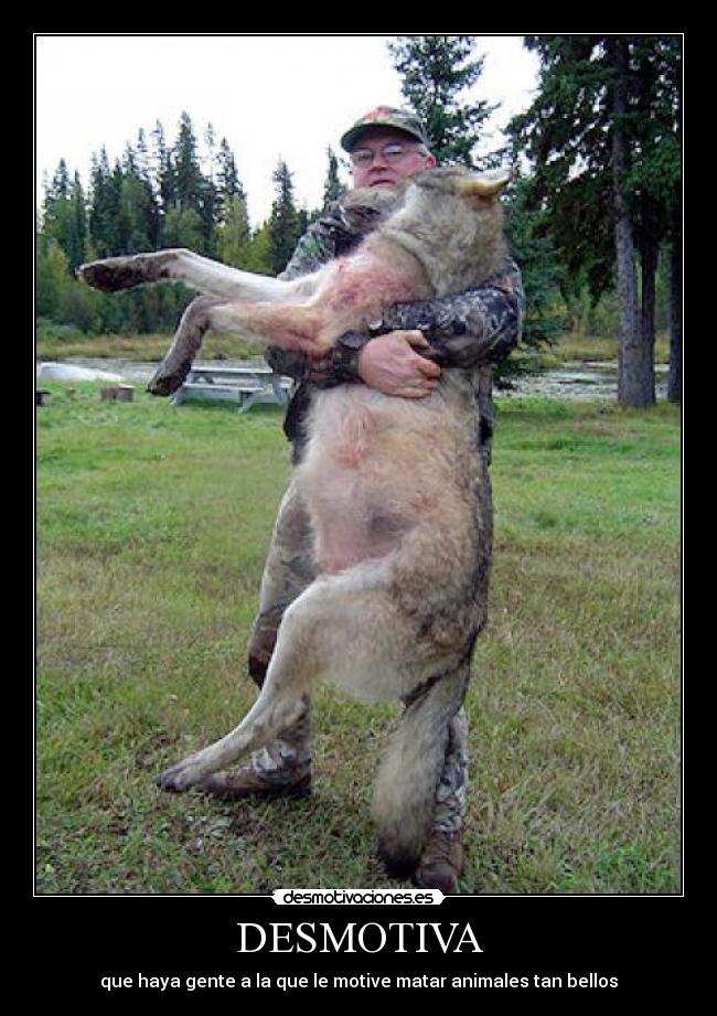 DESMOTIVA - que haya gente a la que le motive matar animales tan bellos