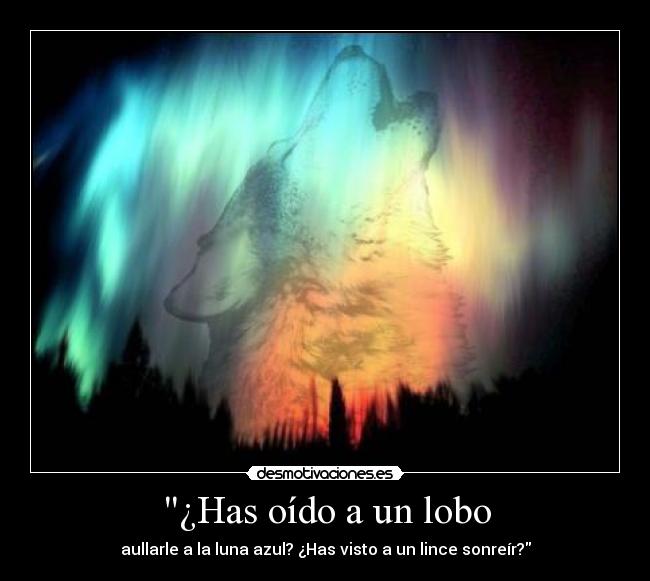 ¿Has oído a un lobo -