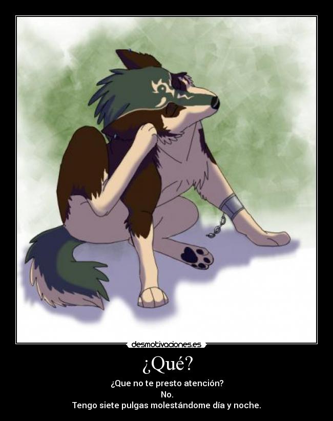 ¿Qué? - ¿Que no te presto atención?
No.
Tengo siete pulgas molestándome día y noche.