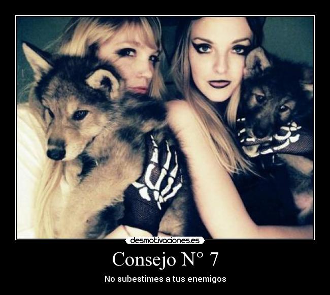 Consejo N° 7 - 