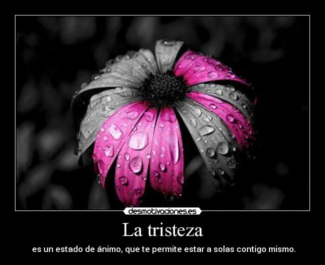 La tristeza -