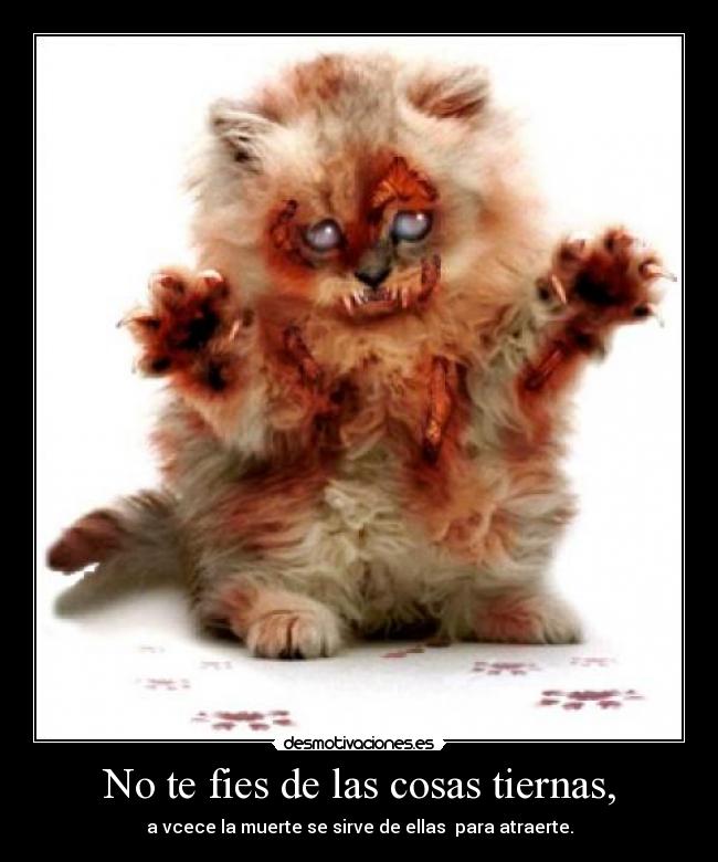 No te fies de las cosas tiernas, - a vcece la muerte se sirve de ellas  para atraerte.