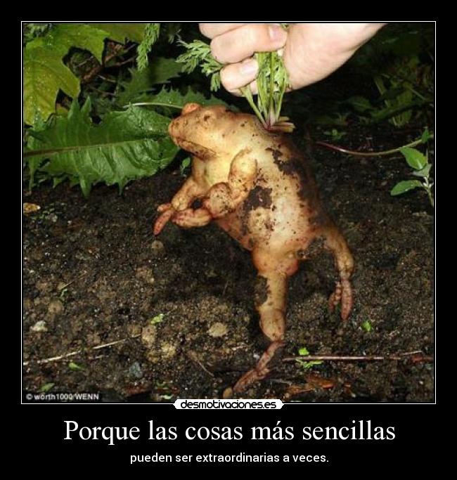 Porque las cosas más sencillas - pueden ser extraordinarias a veces.