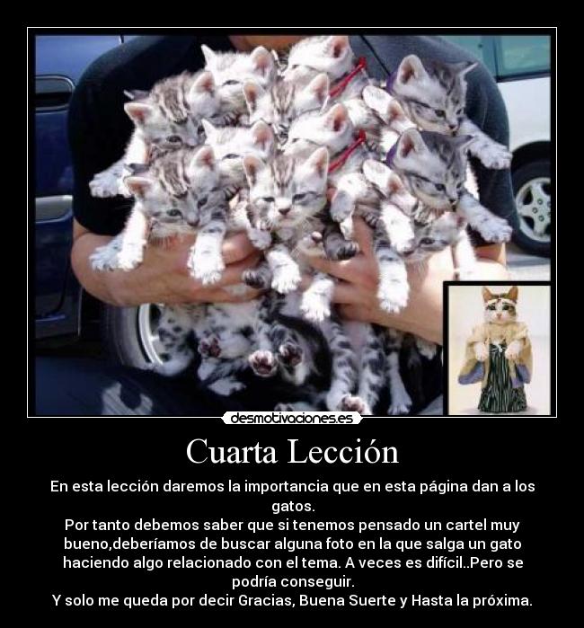 Cuarta Lección - En esta lección daremos la importancia que en esta página dan a los
gatos.
Por tanto debemos saber que si tenemos pensado un cartel muy
bueno,deberíamos de buscar alguna foto en la que salga un gato
haciendo algo relacionado con el tema. A veces es difícil..Pero se
podría conseguir.
Y solo me queda por decir Gracias, Buena Suerte y Hasta la próxima.