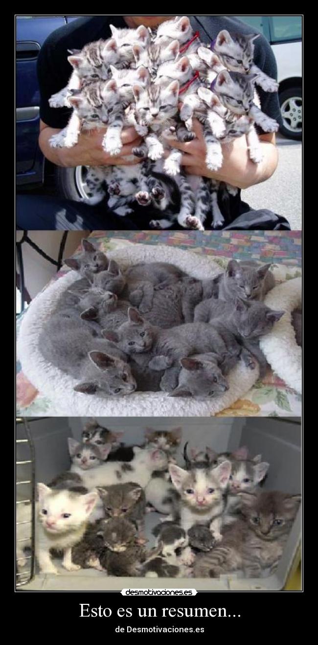 Esto es un resumen... - de Desmotivaciones.es