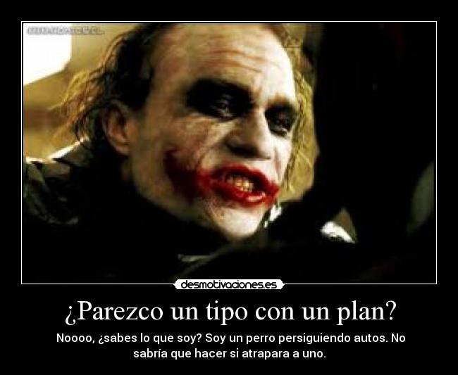¿Parezco un tipo con un plan? -