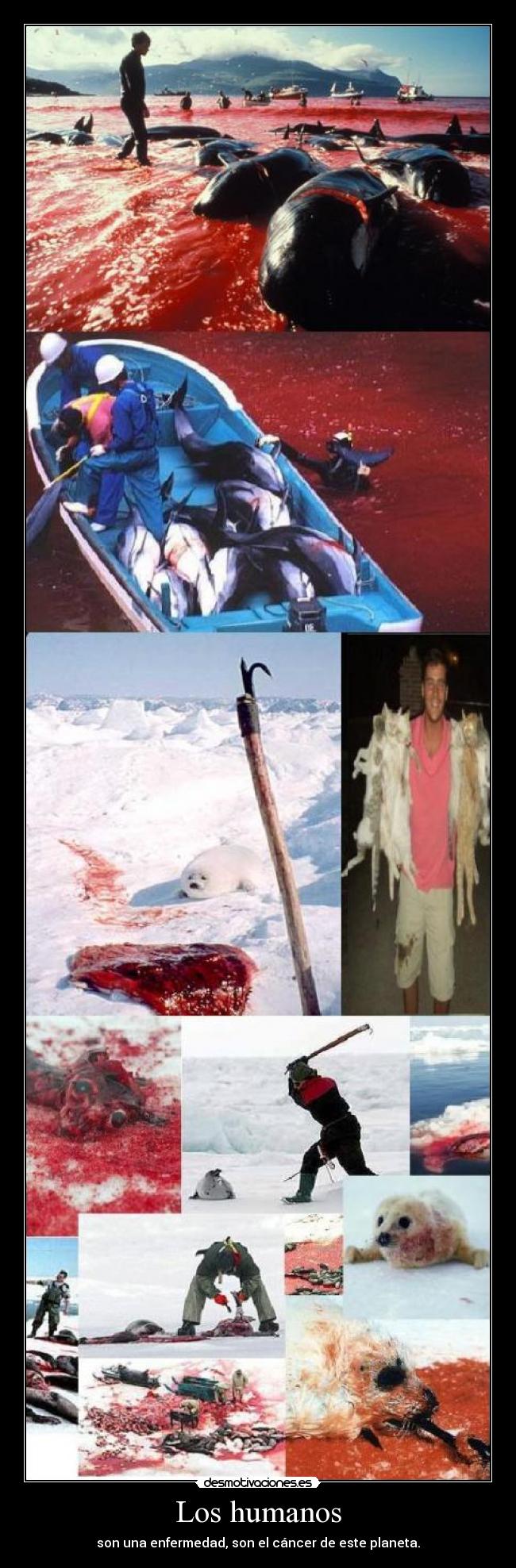 Los humanos -